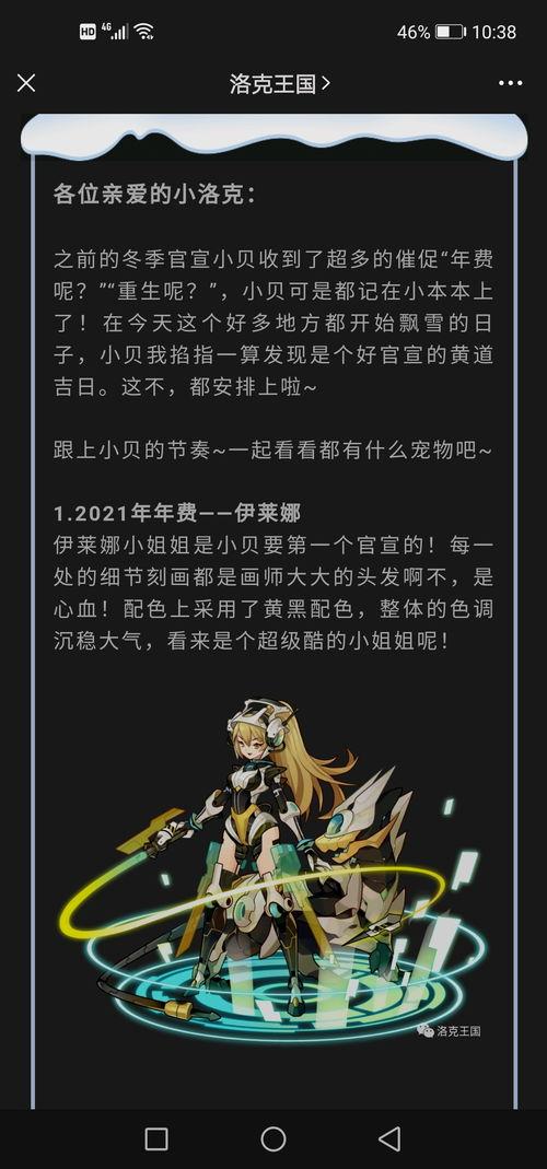 春节爆料视频最新一期,揭秘年味背后的故事与惊喜